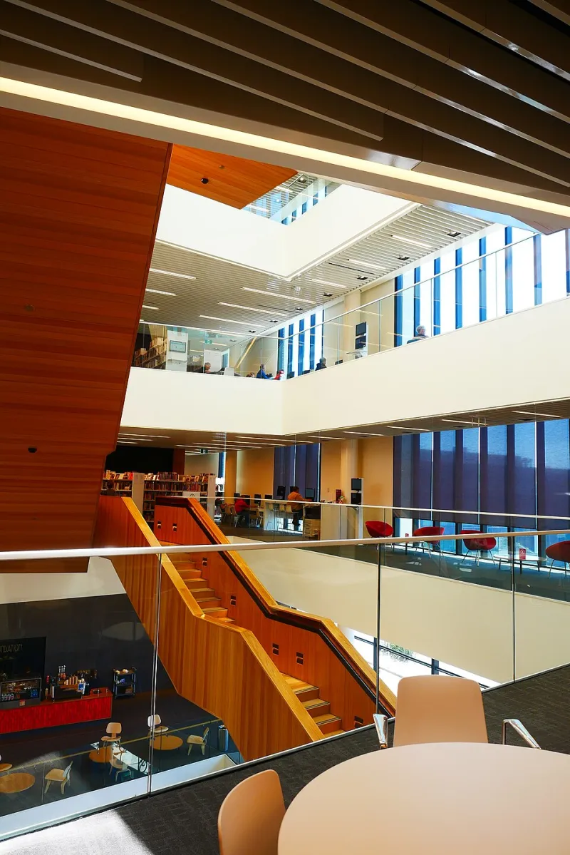 More Than Books: How Phoenix's Public Libraries Became the Valley's Most Unexpected Gathering Places